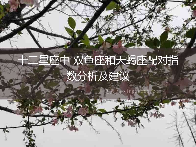 十二星座中 雙魚座和天蝎座配對指數分析及建議