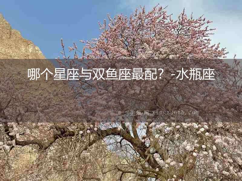 哪個星座與雙魚座最配？-水瓶座