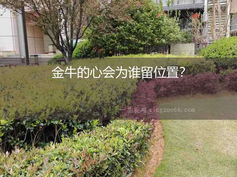 金牛的心會(huì)為誰留位置？