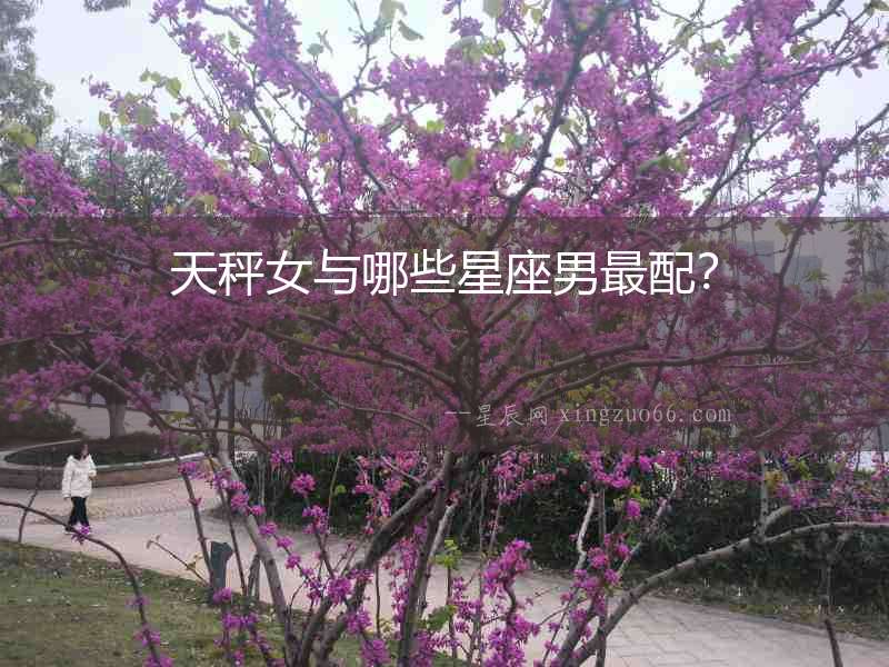 天秤女與哪些星座男最配？
