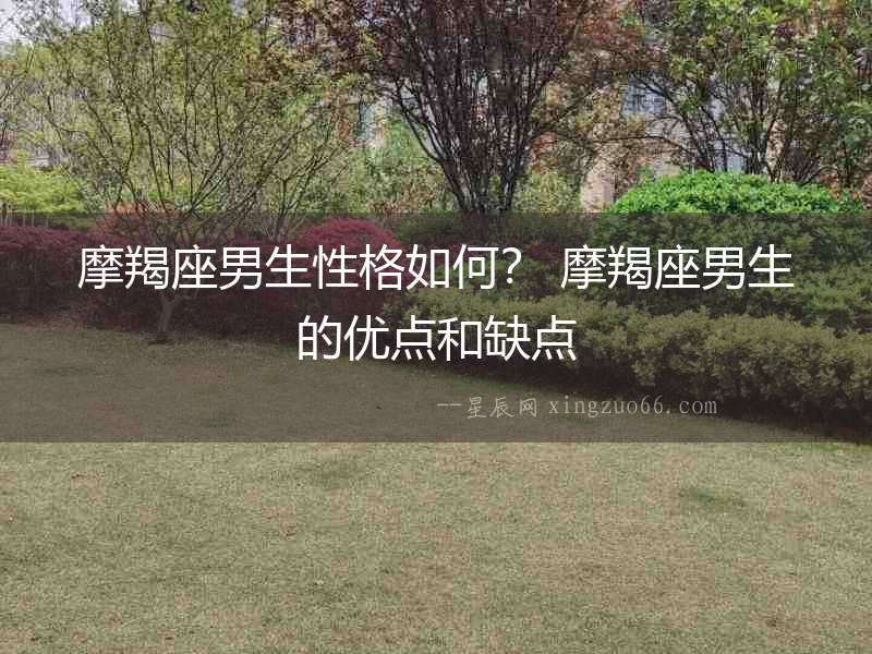 摩羯座男生性格如何？ 摩羯座男生的優點和缺點