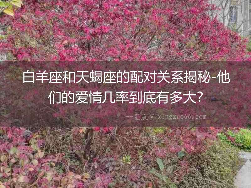 白羊座和天蝎座的配對關系揭秘-他們的愛情幾率到底有多大？