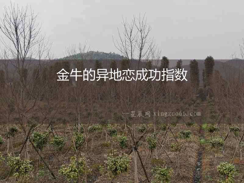 金牛的異地戀成功指數