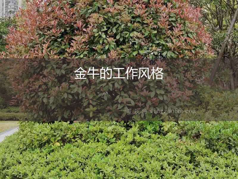 金牛的工作風格
