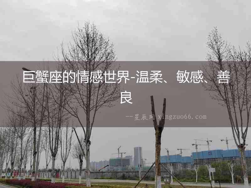 巨蟹座的情感世界-溫柔、敏感、善良