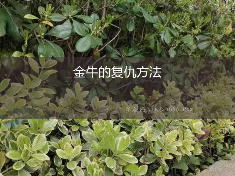 金牛的復(fù)仇方法