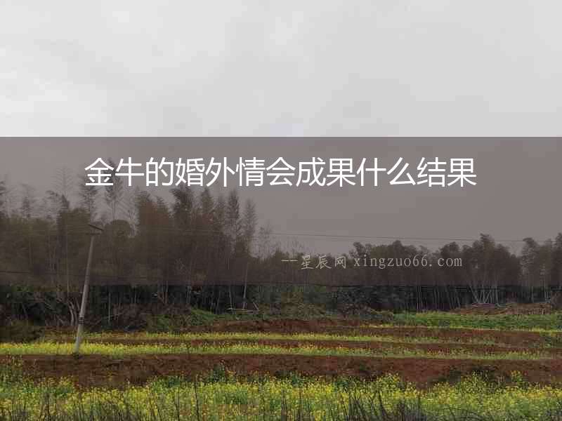 金牛的婚外情會成果什么結果