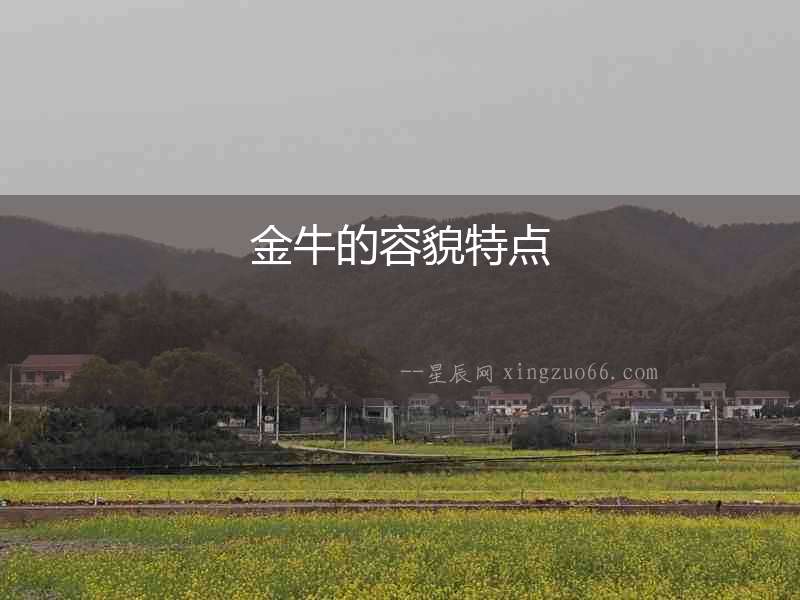 金牛的容貌特點