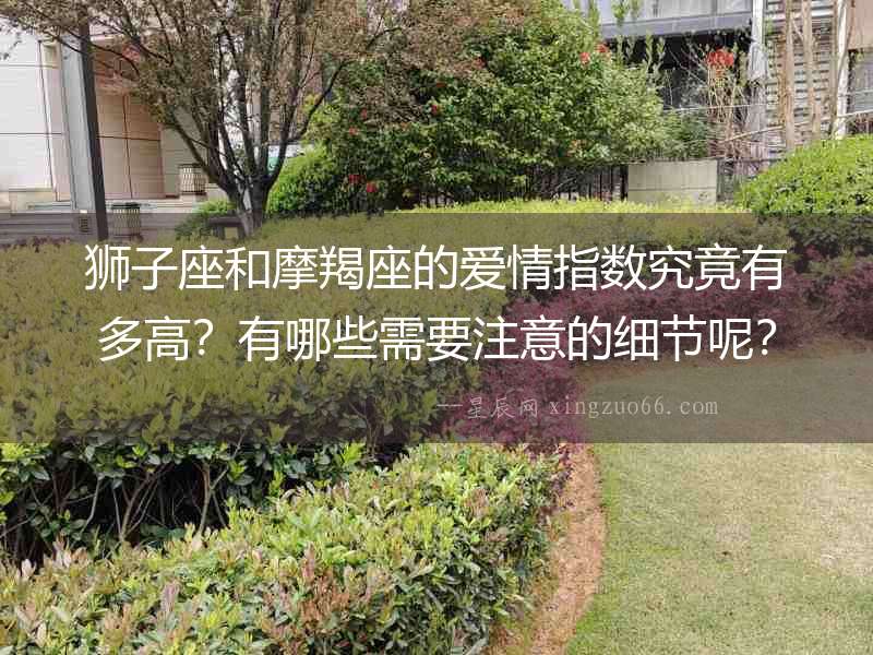 獅子座和摩羯座的愛情指數究竟有多高？有哪些需要注意的細節呢？