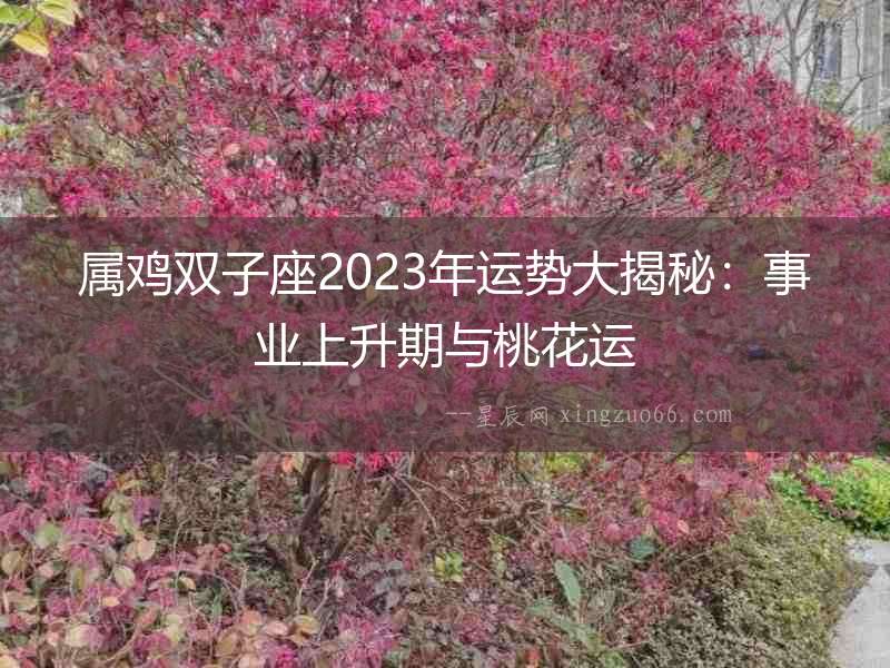 屬雞雙子座2023年運(yùn)勢大揭秘：事業(yè)上升期與桃花運(yùn)