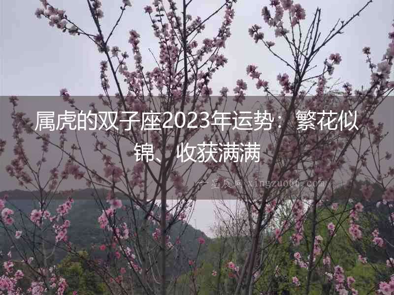 屬虎的雙子座2023年運(yùn)勢(shì)：繁花似錦、收獲滿(mǎn)滿(mǎn)