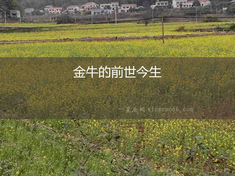 金牛的前世今生