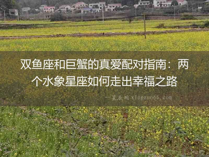 雙魚(yú)座和巨蟹的真愛(ài)配對(duì)指南：兩個(gè)水象星座如何走出幸福之路