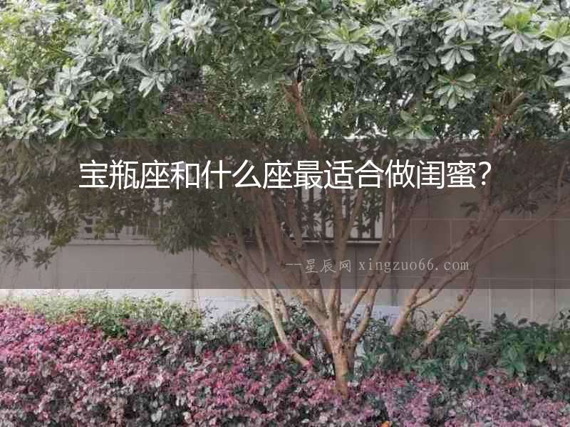 寶瓶座和什么座最適合做閨蜜？