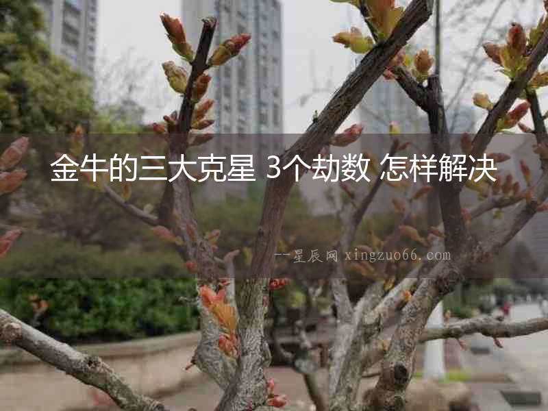 金牛的三大克星 3個劫數(shù) 怎樣解決