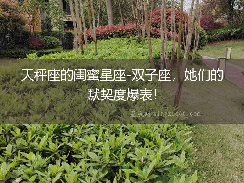 天秤座的閨蜜星座-雙子座，她們的默契度爆表！