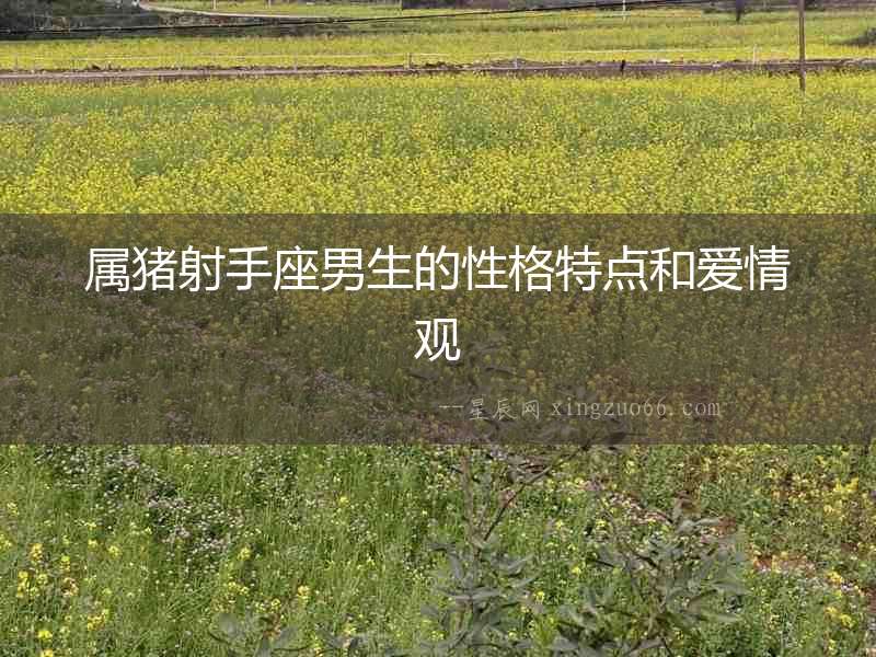 屬豬射手座男生的性格特點(diǎn)和愛情觀