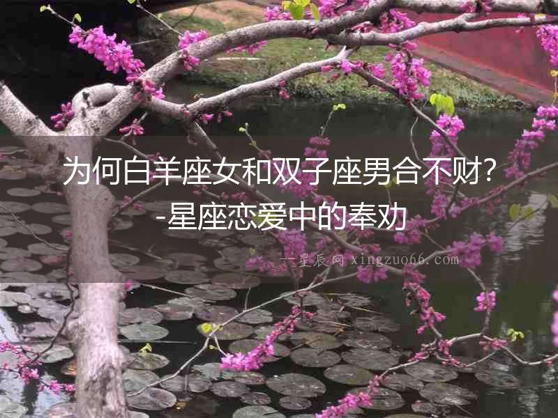 為何白羊座女和雙子座男合不財？-星座戀愛中的奉勸
