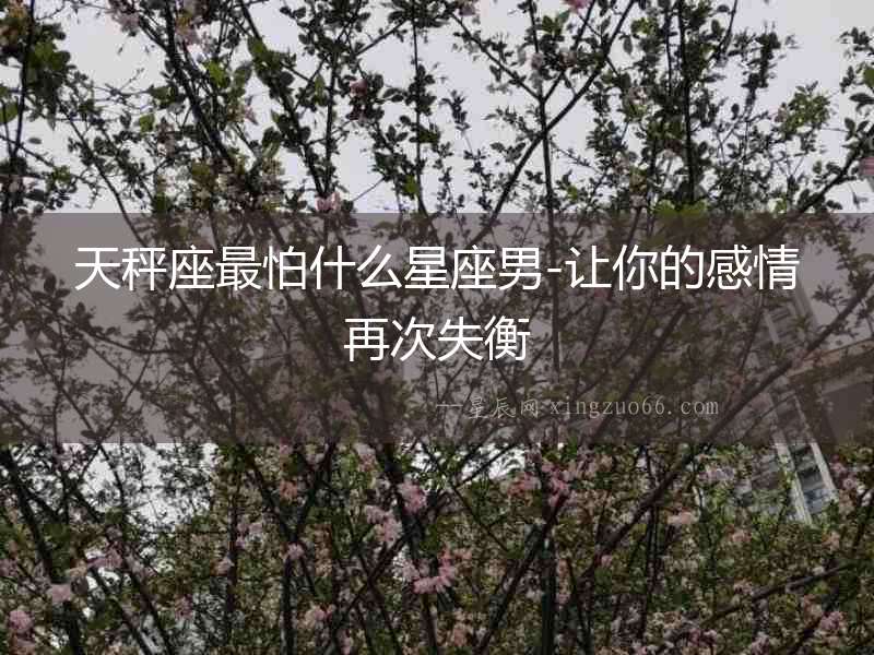 天秤座最怕什么星座男-讓你的感情再次失衡