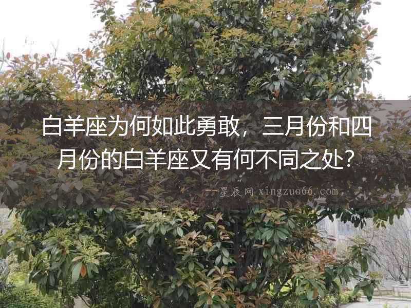 白羊座為何如此勇敢，三月份和四月份的白羊座又有何不同之處？