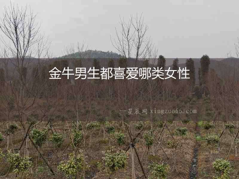 金牛男生都喜愛哪類女性