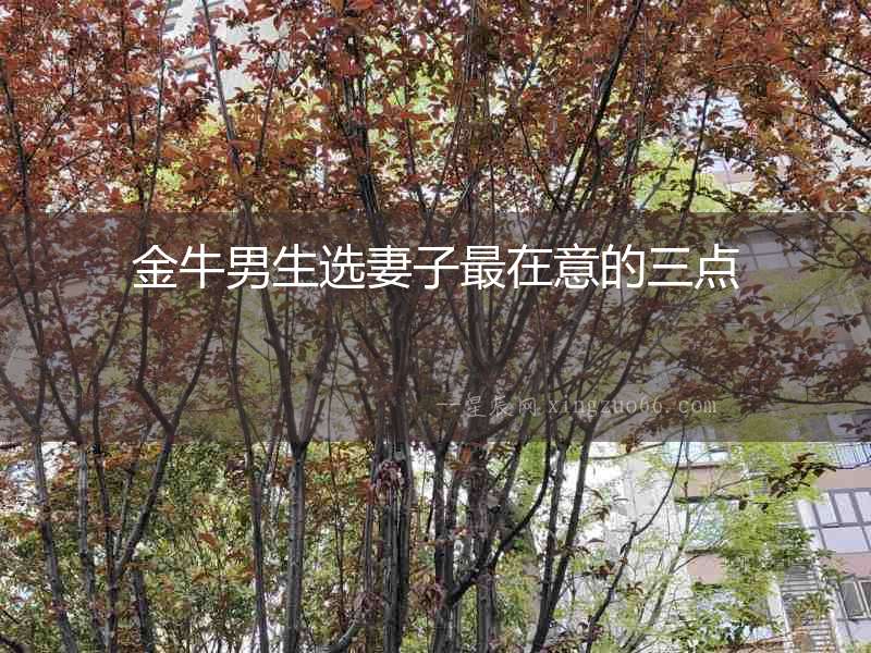 金牛男生選妻子最在意的三點