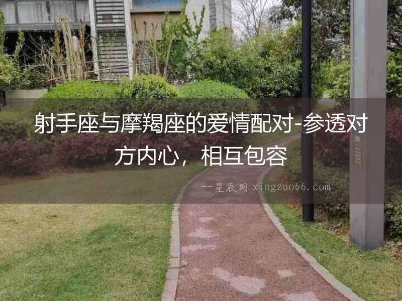 射手座與摩羯座的愛情配對-參透對方內心，相互包容