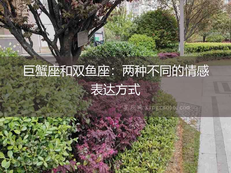 巨蟹座和雙魚座：兩種不同的情感表達方式