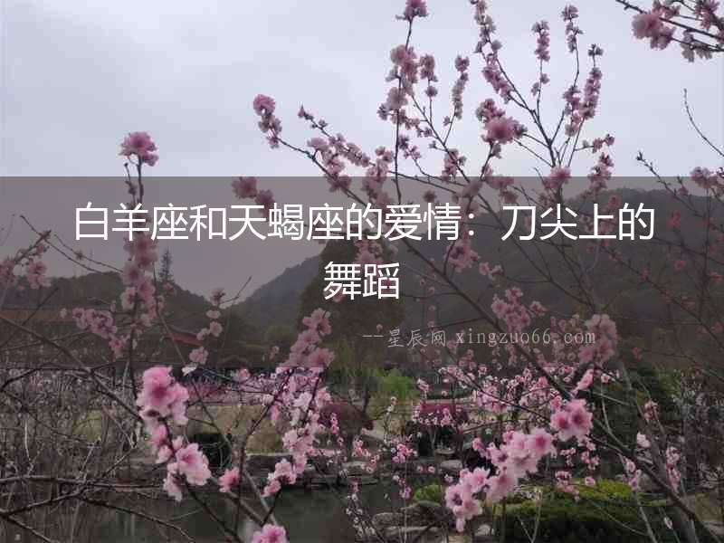 白羊座和天蝎座的愛情：刀尖上的舞蹈