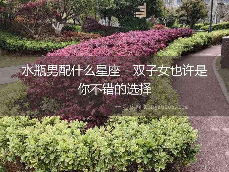 水瓶男配什么星座 - 雙子女也許是你不錯的選擇