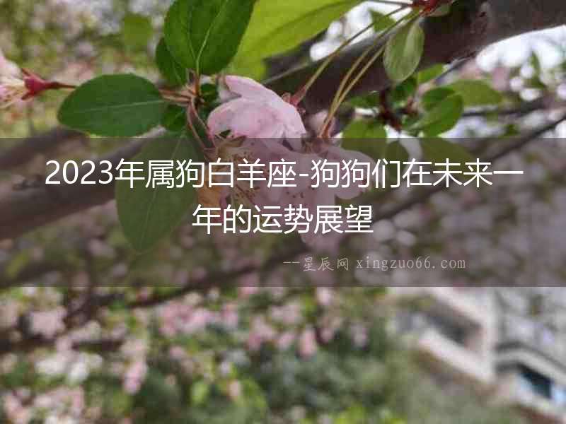 2023年屬狗白羊座-狗狗們?cè)谖磥?lái)一年的運(yùn)勢(shì)展望