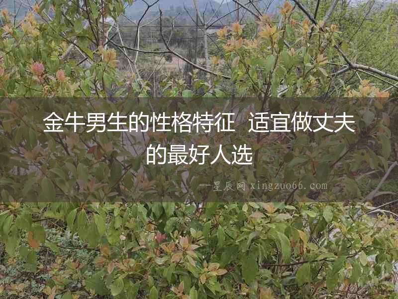 金牛男生的性格特征  適宜做丈夫的最好人選