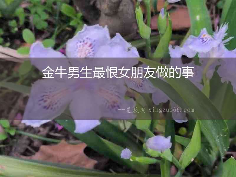 金牛男生最恨女朋友做的事