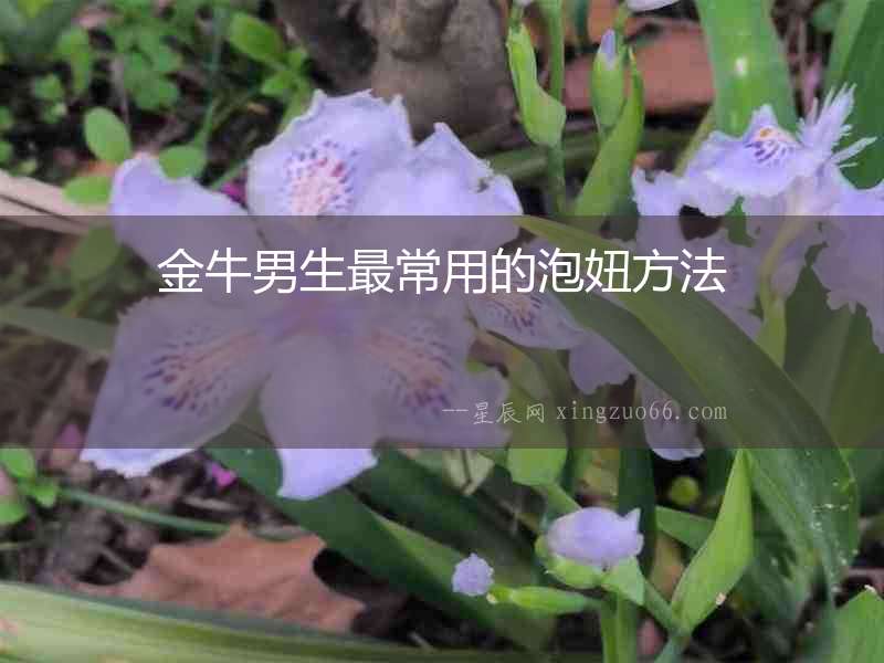 金牛男生最常用的泡妞方法