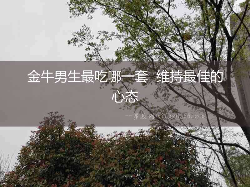 金牛男生最吃哪一套  維持最佳的心態