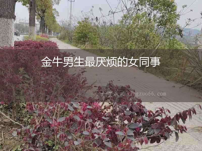 金牛男生最厭煩的女同事