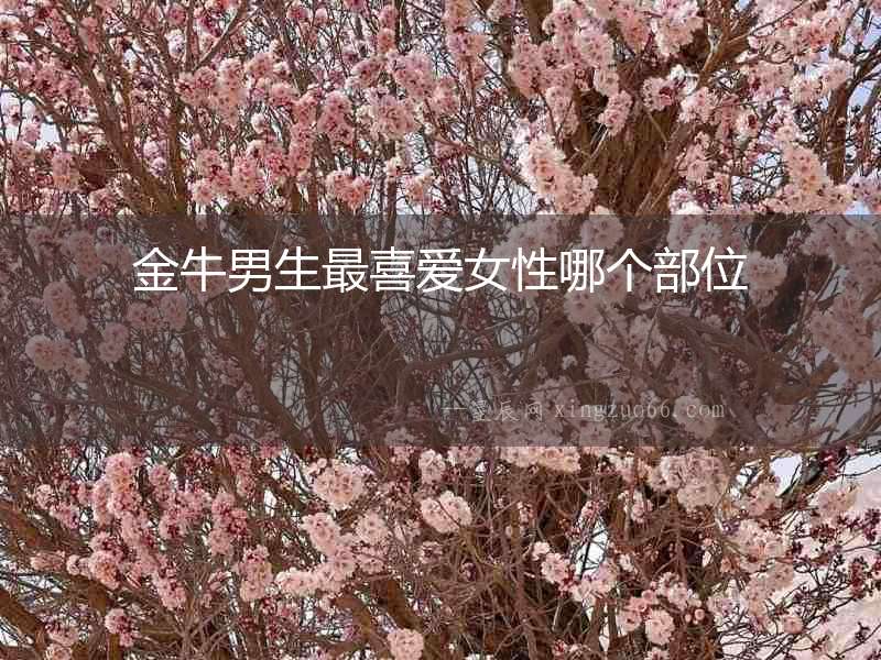 金牛男生最喜愛女性哪個部位