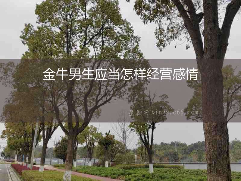 金牛男生應(yīng)當(dāng)怎樣經(jīng)營(yíng)感情