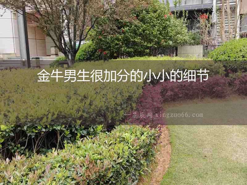 金牛男生很加分的小小的細節