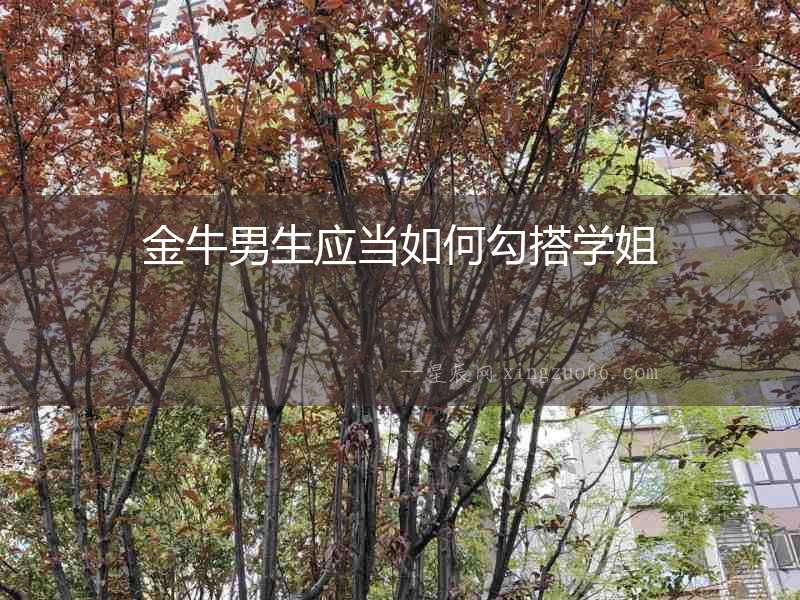 金牛男生應當如何勾搭學姐