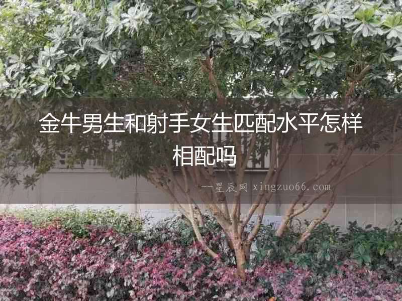 金牛男生和射手女生匹配水平怎樣 相配嗎
