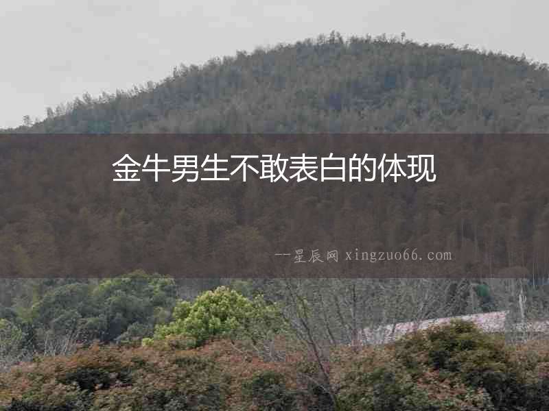 金牛男生不敢表白的體現(xiàn)