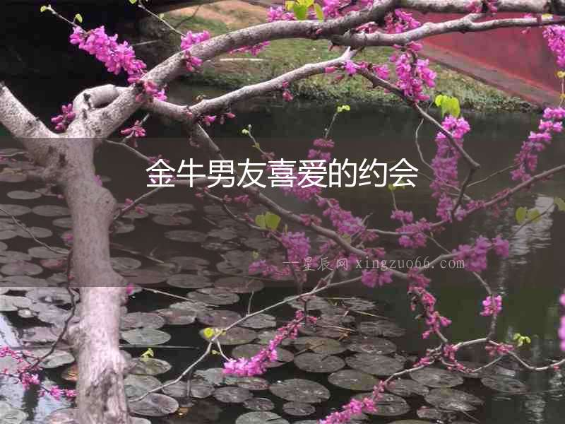 金牛男友喜愛的約會(huì)