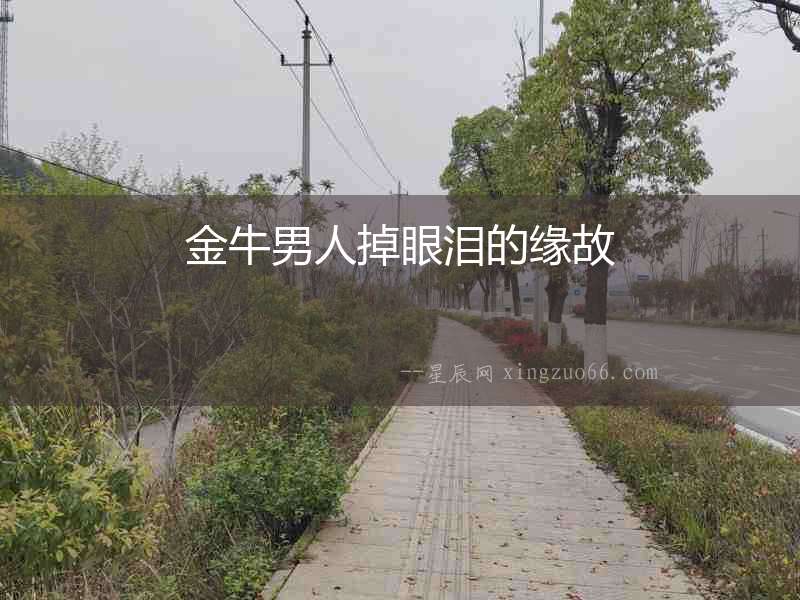 金牛男人掉眼淚的緣故