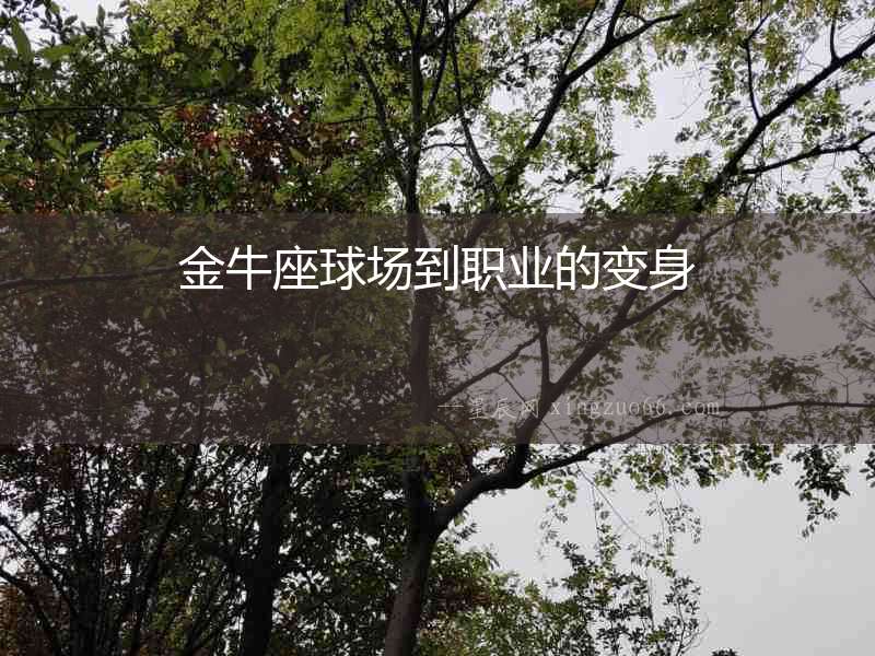 金牛座球場到職業的變身