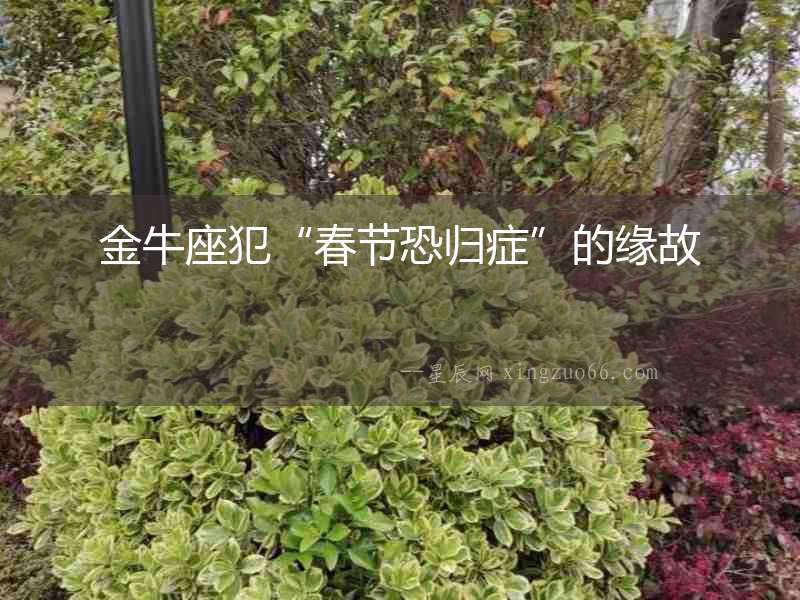 金牛座犯“春節(jié)恐歸癥”的緣故