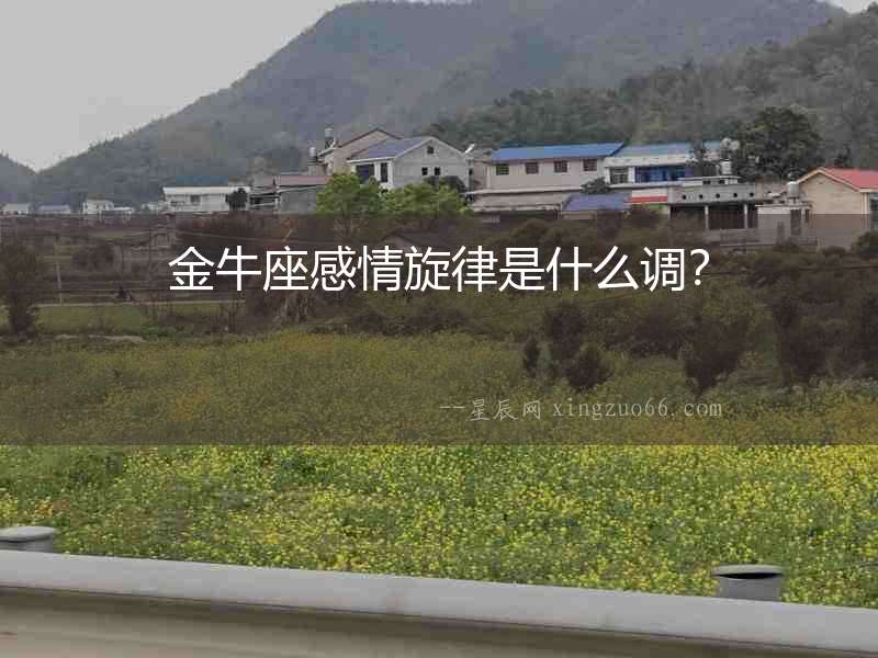 金牛座感情旋律是什么調？