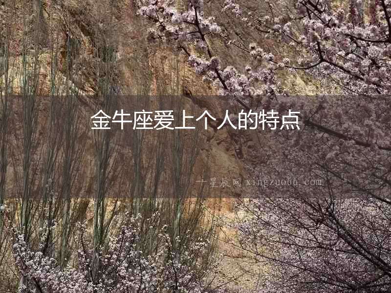金牛座愛上個人的特點