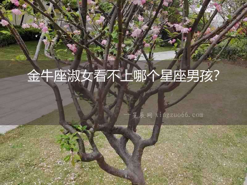 金牛座淑女看不上哪個星座男孩？