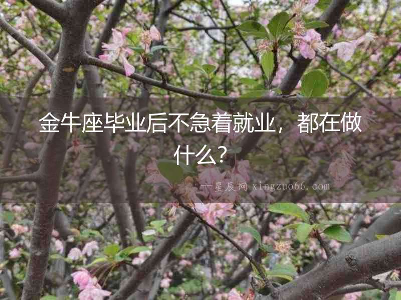 金牛座畢業后不急著就業，都在做什么？